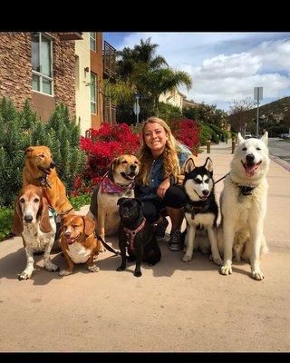 Annie, Cali, Truman, Sammie, Phoebe, Kiska, and Blaze!