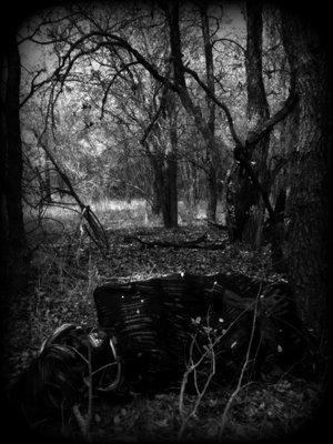 Owl Creek Farm Haunted Hike