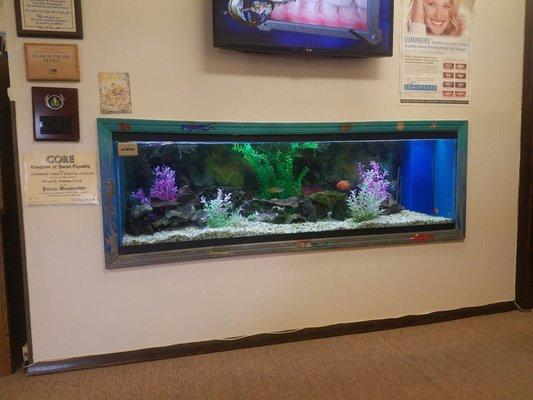 Beautiful fish tank