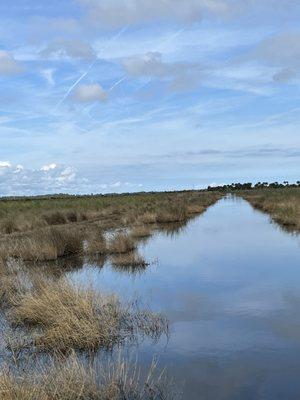 A-Awesome Airboat Ride