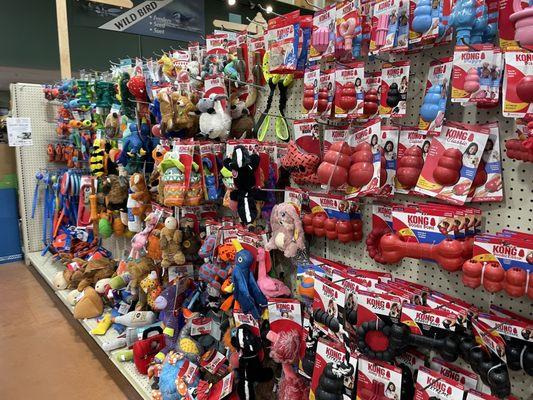 One of many rows of dog toys