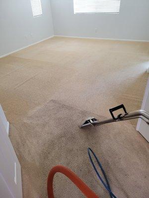 Carpet Cleaning in Apple Valley