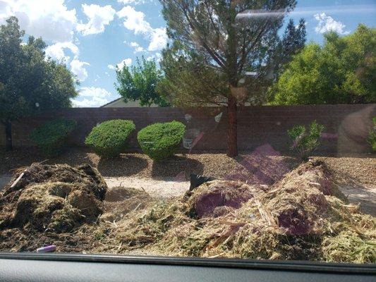 Landscape waste left by A1 Tree Service on Janel Dr.  LV, NV 89149