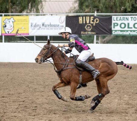 California Polo Club