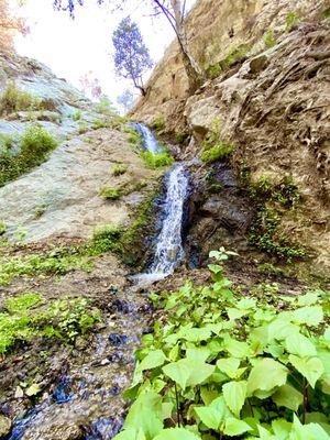 The waterfall still remains! Pics from the new trails during their brief reopening back in mid 2021