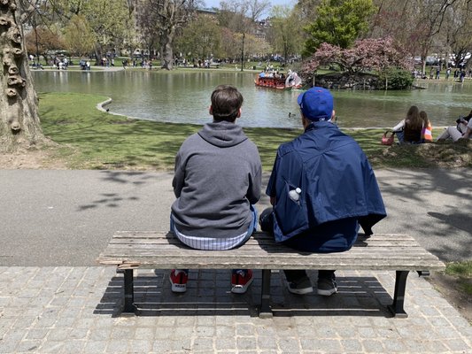 Good Will Hunting bench