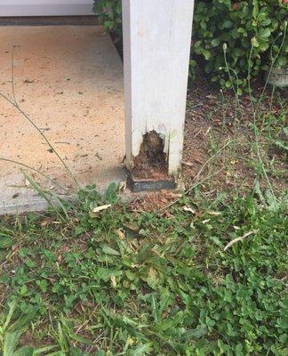 This could be rodent or termite damage. Give us a call at 817-282-2188 for a free inspection.