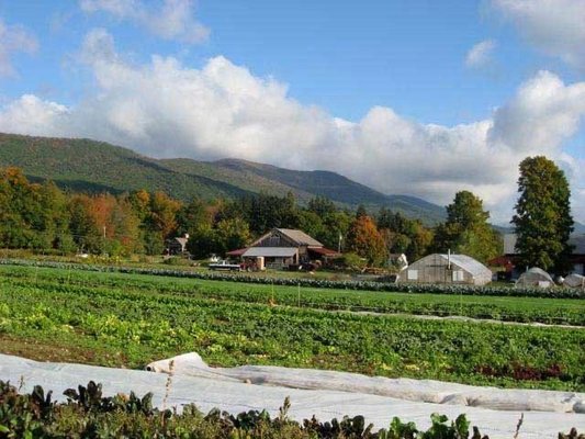 Open for the season! Plant sales open April 24, '21! Farm Stand open mid June. For more information visit: www.clearbrookfarm.com