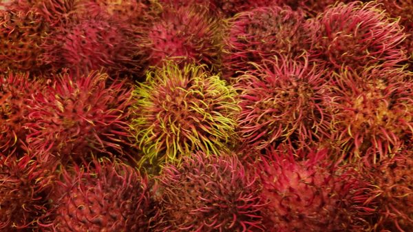 Rambutans