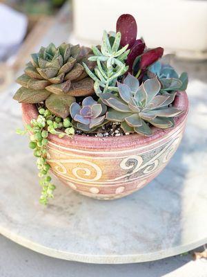 Rainbow teacup