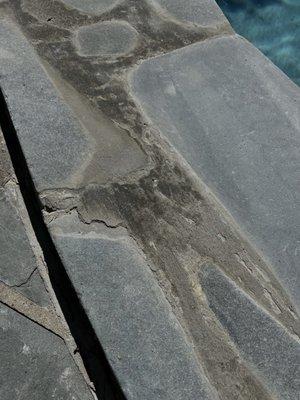 Cracked and disgusting looking grout on a brand new coping