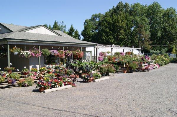 Biondi's Florist & Greenhouses