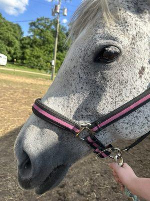 Isaiah,his pasture his hauler