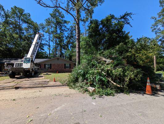 Cricket's Tree Service