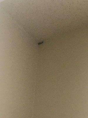 hole in my closet's ceiling