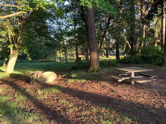 Picnic space.