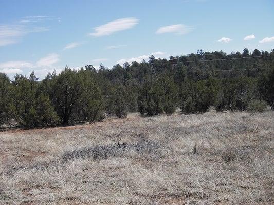 3.34 acres. Owner financing available. $105,000