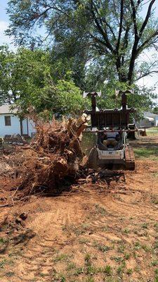 stump removal