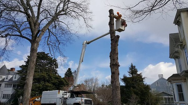 Bucket Truck Services