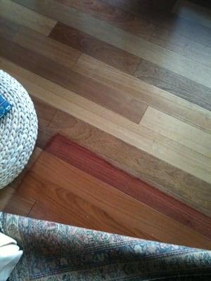 Don't let this happen to your hardwood floors and furnishings. Protect them with 3M window film.