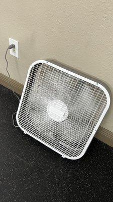 A dust-covered fan put into the gym because there is no A/C.