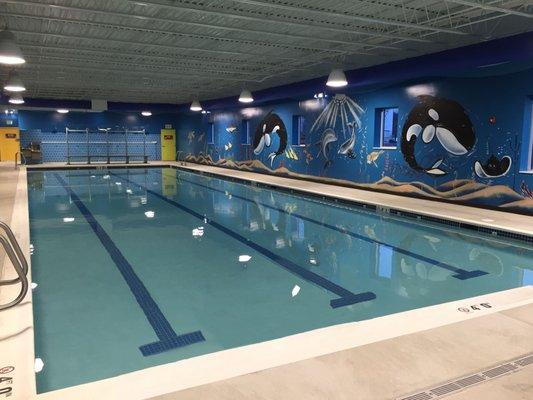 Commercial Pools