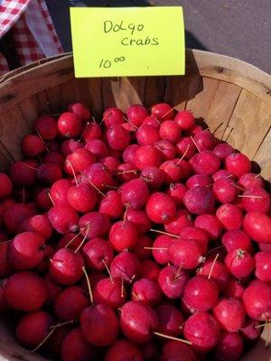 Crab Apples.