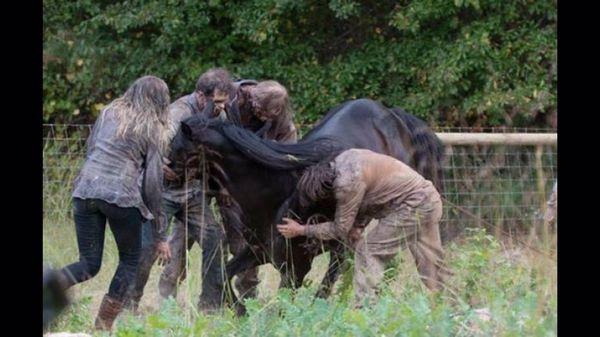 Bucephalus getting eaten on The Walking Dead EP.507