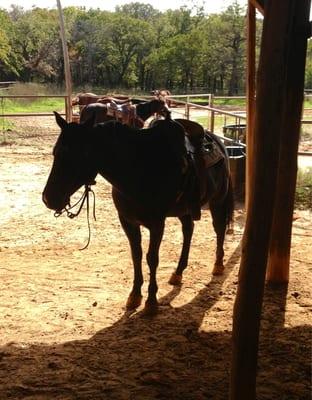 Back at the barn...