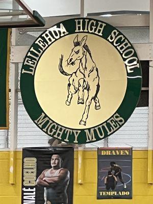 Home of the Mighty Mules