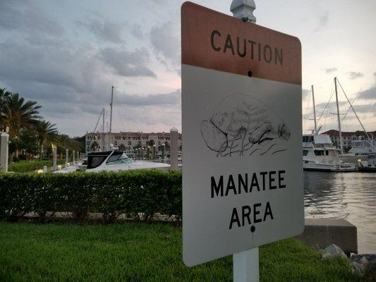 Manatee Area.