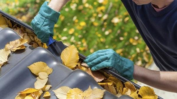 Make sure to clean and maintain your gutters!