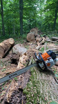 Storm damage cleanup