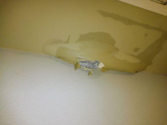 Ceiling water leak, damage