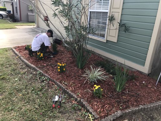 Flower beds we can do that!