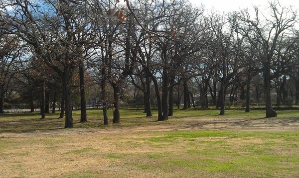 (After) Over sized lot leaf removal and disposal.