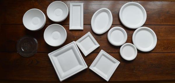 compostable sugarcane disposable plates