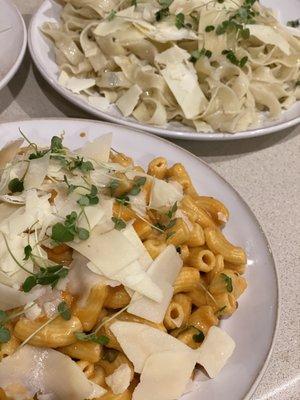 Rigatoni with Rosa sauce, microgreens and Parmesan