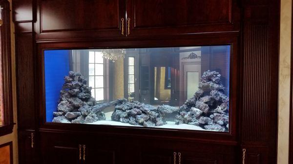 600 Gallon Saltwater aquarium in Whitestone NY