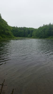 Morey Pond