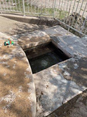 Overflow? Small cool off area? Either way the kids liked this small water hole