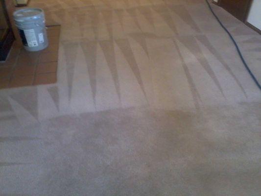 Quality Carpet & Upholstery Cleaners