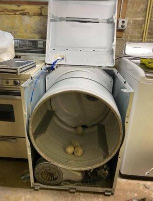 Washing machine repair