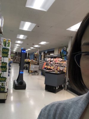 Stalker at Giant