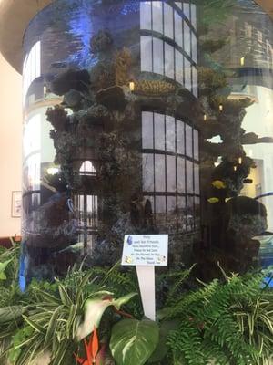 Giant fish tank in the waiting area