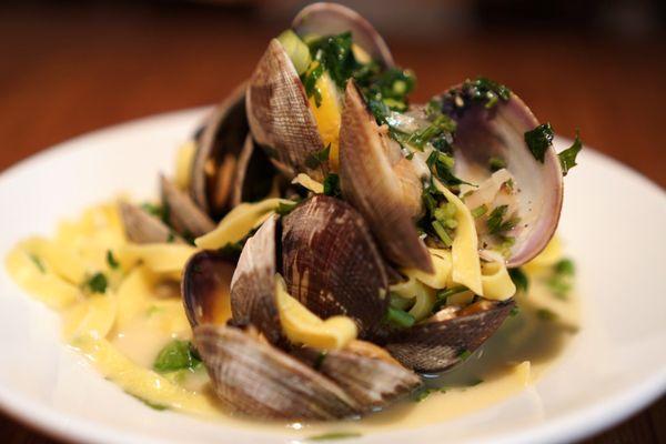 Clams and Wine Fettuccine