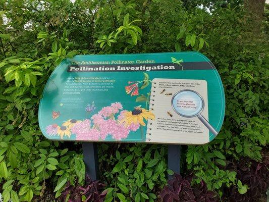 The Smithsonian Pollinator Garden