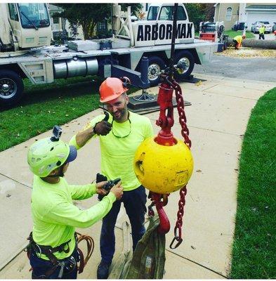 Tree Removal made easy with our 60 ton crane in Kansas City