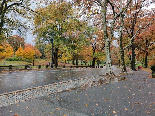 Historical New York City Central Park Scooter and Bike Tours