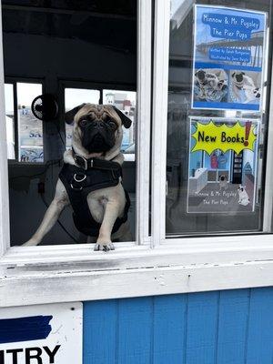 Mr. Pugsley at work advertising the Pier Pup books